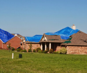 installing a green roof on a home